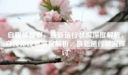 自媒体观察，最新运行状况深度解析，自媒体观察深度解析，最新运行状况探讨