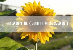 wifi设置手机（wifi用手机怎么设置）