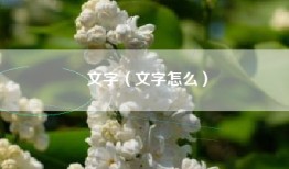文字（文字怎么）