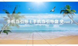 手机当引导（手机当引导盘 免root）