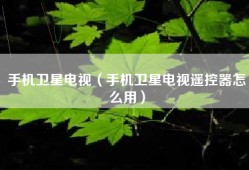 手机卫星电视（手机卫星电视遥控器怎么用）