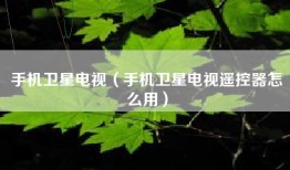 手机卫星电视（手机卫星电视遥控器怎么用）
