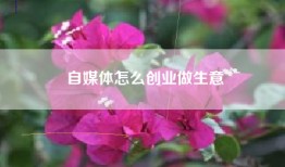 自媒体怎么创业做生意