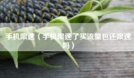 手机限速（手机限速了买流量包还限速吗）