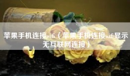 苹果手机连接wifi（苹果手机连接wifi显示无互联网连接）