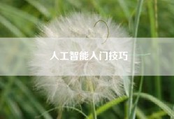 人工智能入门技巧