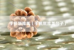 手机屏唯美（手机屏唯美句子）