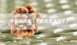 手机屏唯美（手机屏唯美句子）