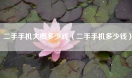 二手手机大概多少钱（二手手机多少钱）