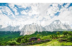 体育文化中的陇上非遗——木人摔跤