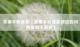 苹果手机重装（苹果手机重装微信如何恢复聊天数据）