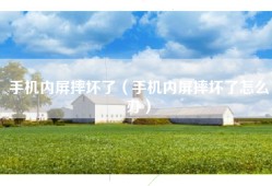 手机内屏摔坏了（手机内屏摔坏了怎么办）