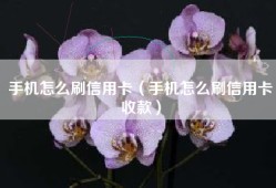 手机怎么刷信用卡（手机怎么刷信用卡收款）