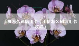 手机怎么刷信用卡（手机怎么刷信用卡收款）