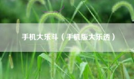 手机大乐斗（手机版大乐透）