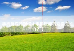 手机反应特别慢（手机反应特别慢,怎么办？）