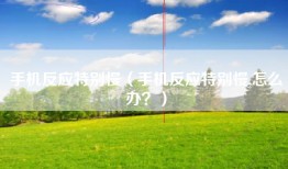 手机反应特别慢（手机反应特别慢,怎么办？）