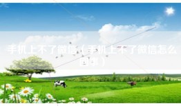 手机上不了微信（手机上不了微信怎么回事）