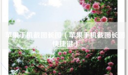 苹果手机截图长图（苹果手机截图长图快捷键）