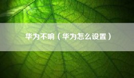 华为不响（华为怎么设置）