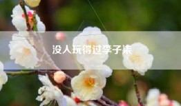 没人玩得过李子柒