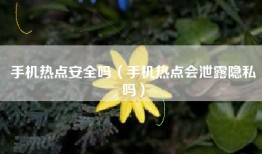 手机热点安全吗（手机热点会泄露隐私吗）