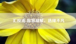 汇投流-智慧凝聚，选择不凡
