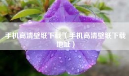 手机高清壁纸下载（手机高清壁纸下载地址）