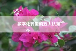 数字化转型的五大认知