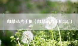 麒麟芯片手机（麒麟芯片手机2024）