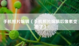 手机照片编辑（手机照片编辑后像素变差了）