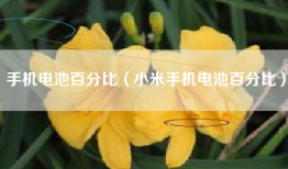 手机电池百分比（小米手机电池百分比）