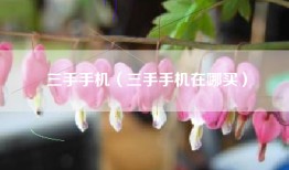 三手手机（三手手机在哪买）