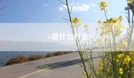 it是什么行业