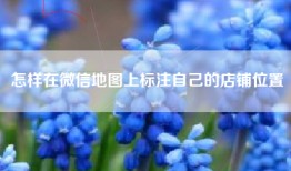 怎样在微信地图上标注自己的店铺位置