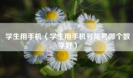 学生用手机（学生用手机号尾号哪个数字好）