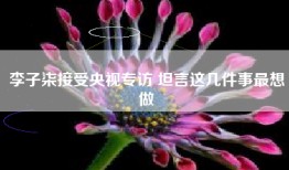 李子柒接受央视专访 坦言这几件事最想做