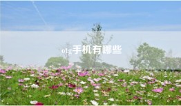 otg手机有哪些