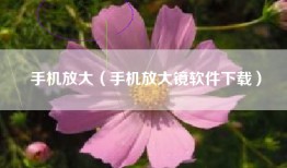 手机放大（手机放大镜软件下载）