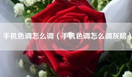 手机色调怎么调（手机色调怎么调灰暗）
