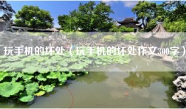 玩手机的坏处（玩手机的坏处作文300字）