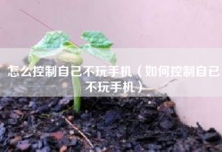 怎么控制自己不玩手机（如何控制自已不玩手机）