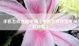 手机怎样连接电视（手机怎样连接电视机投屏）