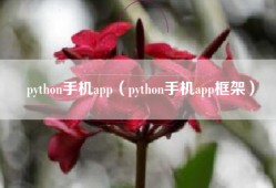 python手机app（python手机app框架）