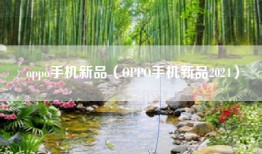oppo手机新品（OPPO手机新品2024）