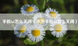 手机hd怎么关闭（华为手机hd怎么关闭）