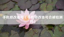 手机修改串号（手机修改串号会被检测吗）