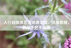 入行自媒体怎么快速变现，详细教程，教你手把手运营