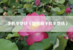 手机坐地铁（如何刷手机坐地铁）