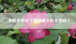 手机坐地铁（如何刷手机坐地铁）